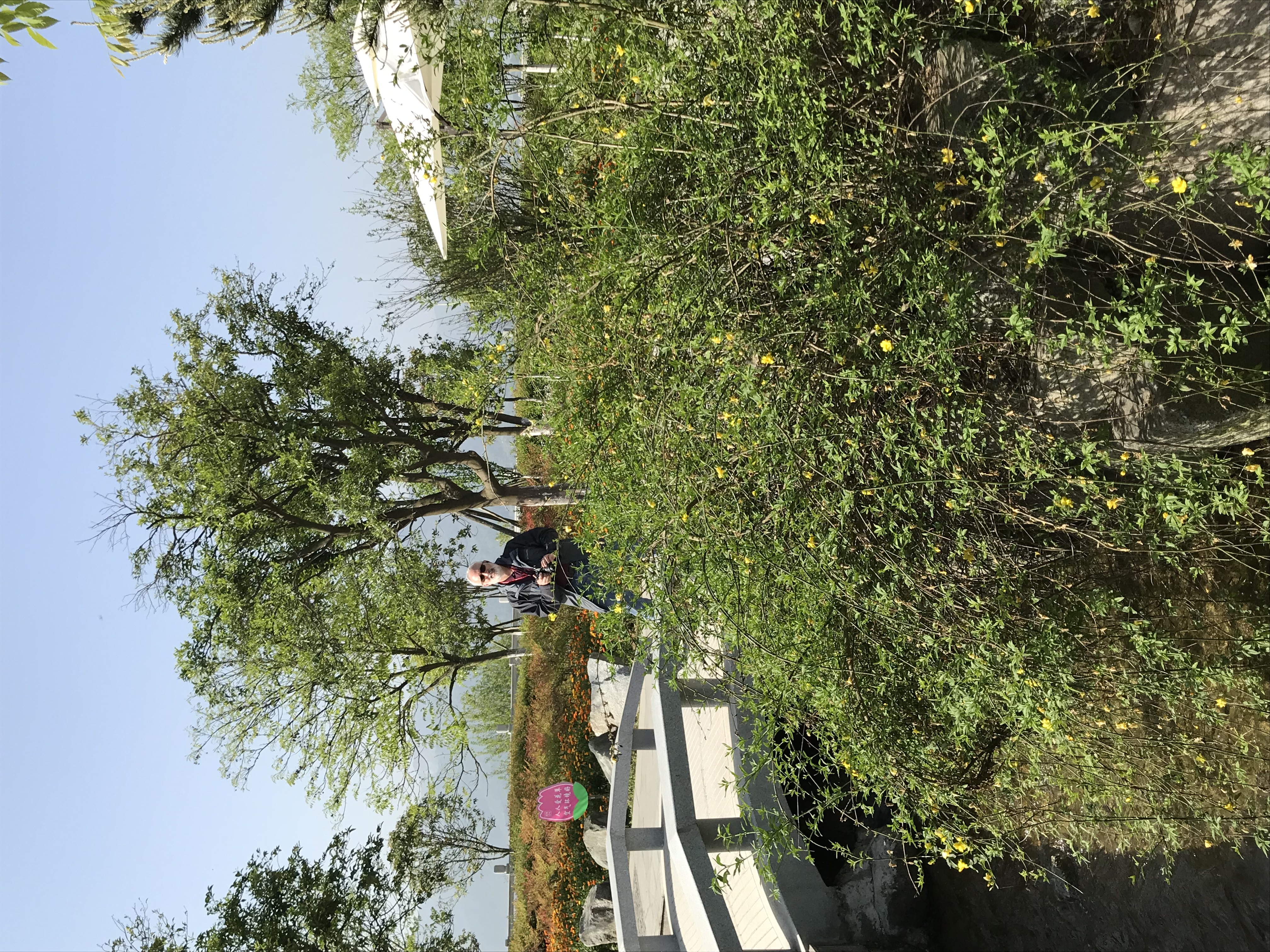 ./2018/03 - Viking China/17 - Three Gorges/IMG_8397.JPG